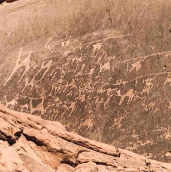 Star Magic Camp Hotell Wadi Rum Eksteriør bilde